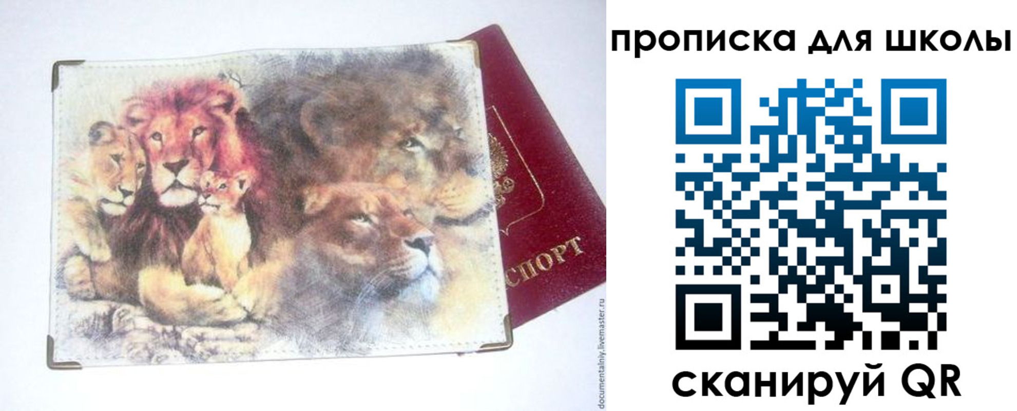 временная регистрация гарантия в Невинномысске